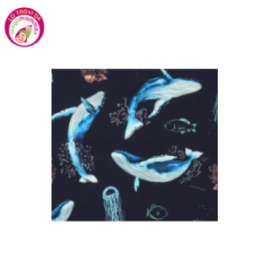 Scaldacollo The Dancing Whales – Walkiddy