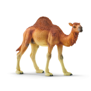 Dromedario Schleich