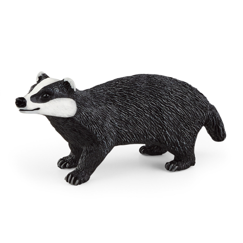 Tasso Schleich