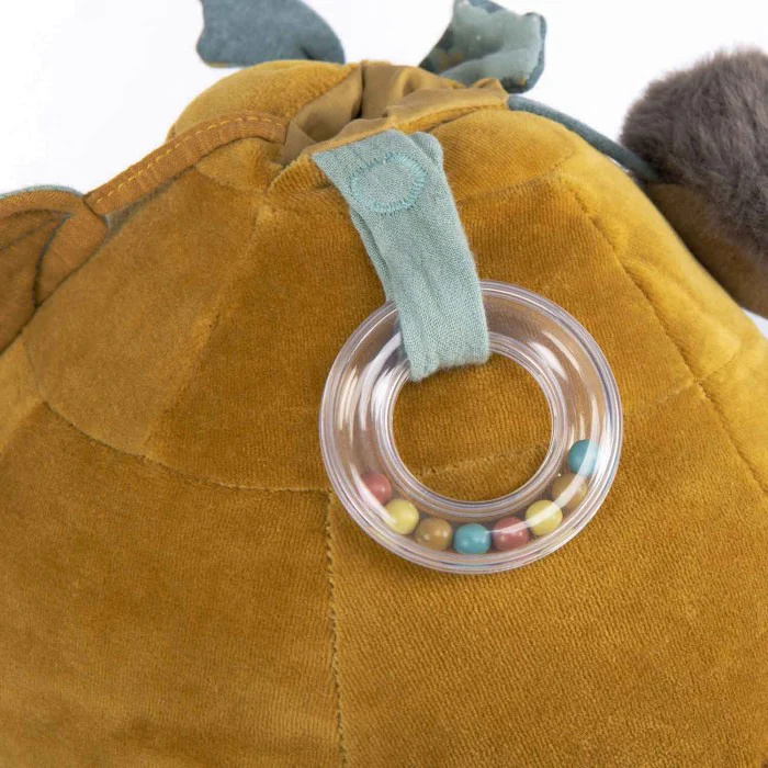 Tartaruga gigante multiattività - immagine 6