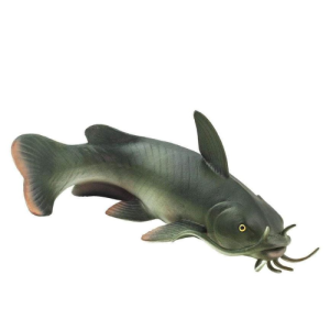 Pesce gatto Safari Ltd