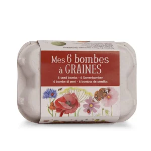Cofanetto 6 bombe di semi bio