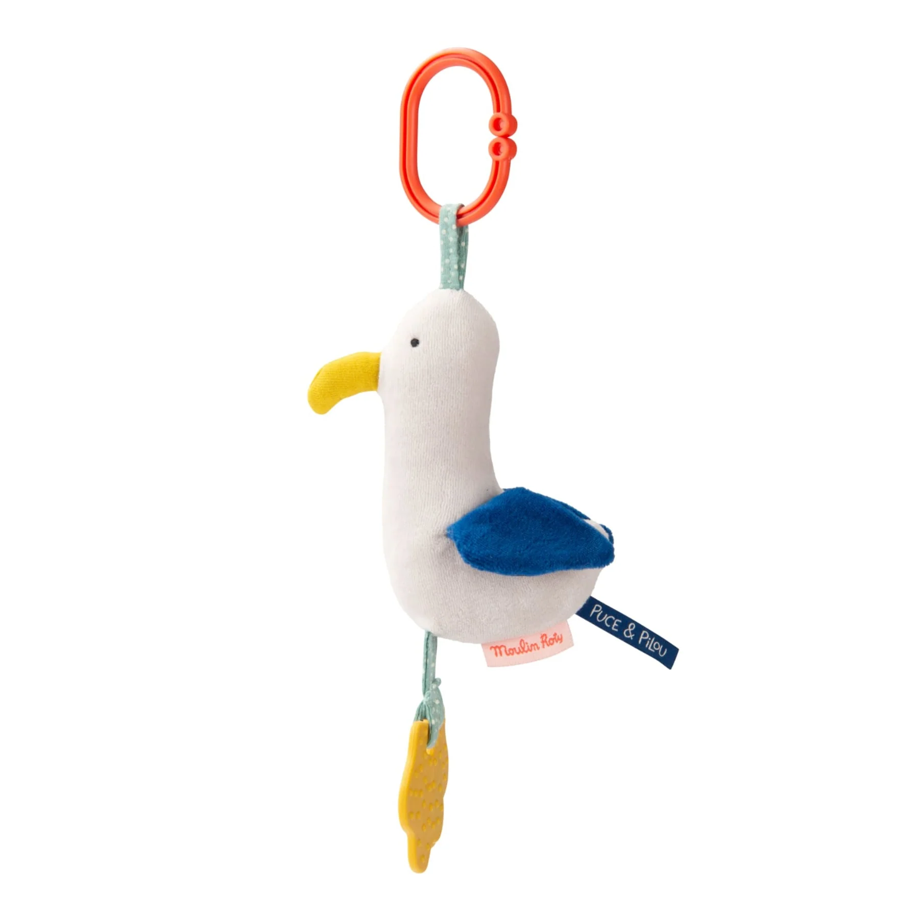 Gabbiano sonaglio e attività - immagine 3