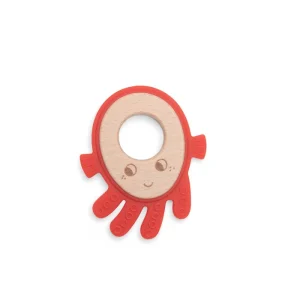 Polpo anello dentizione