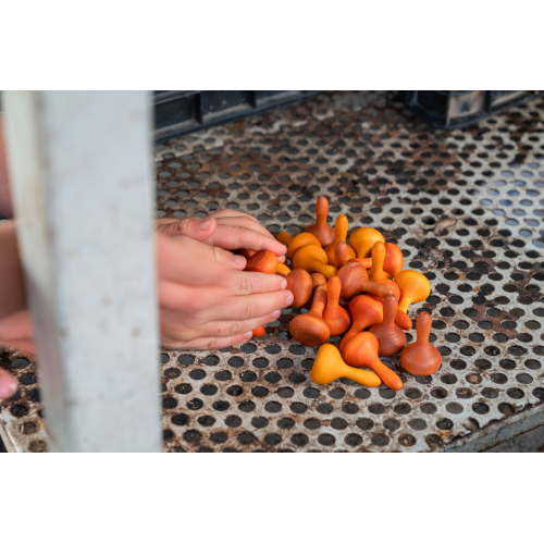 Mandala Pumpkins Grapat - immagine 3