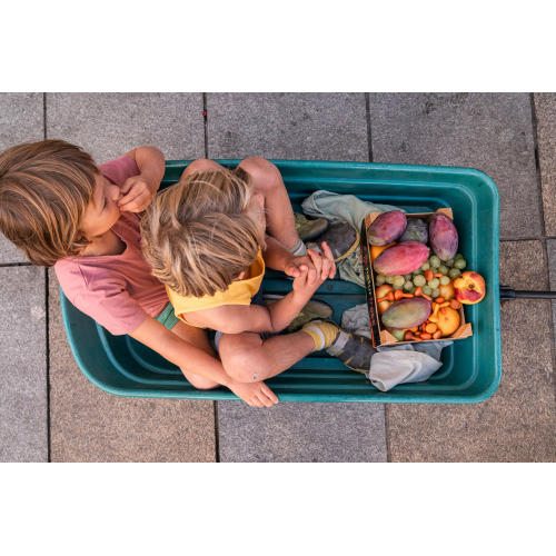 Mandala Pumpkins Grapat - immagine 5