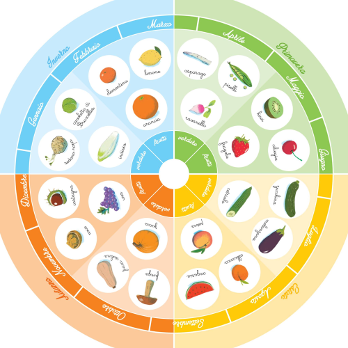 La ruota delle stagioni Montessori Gallucci - immagine 4