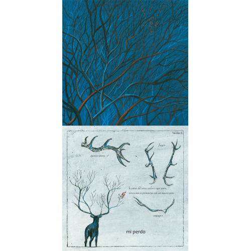 Come un albero Camelozampa - immagine 4