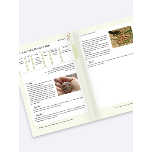 Laboratori con i materiali naturali Erickson - immagine 3