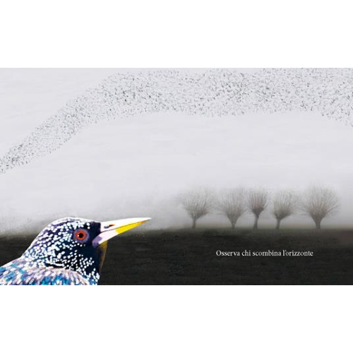 Prima di tagliare un albero Camelozampa - immagine 4