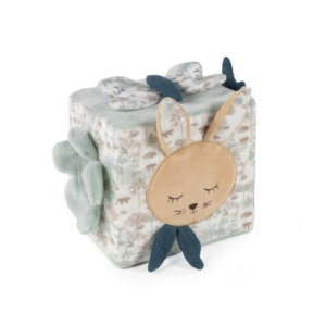 Cubo attività celeste Pasito a pasito