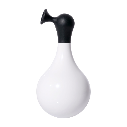 Boi Moluk - immagine 3