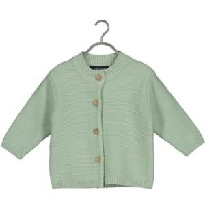 Cardigan Knitted Mint Farm – Blue Seven