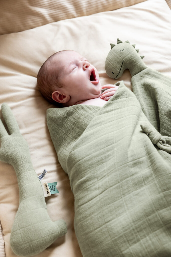 Dou Dou Mr Dino – Trixie - immagine 3