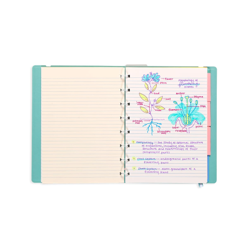 Penne stilografiche Ooly - immagine 4