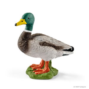 Maschio di Anatra Schleich