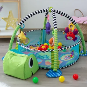 PALESTRINA TARTARUGA 2 in 1