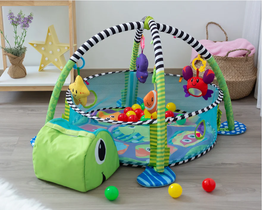 PALESTRINA TARTARUGA 2 in 1 - immagine 2