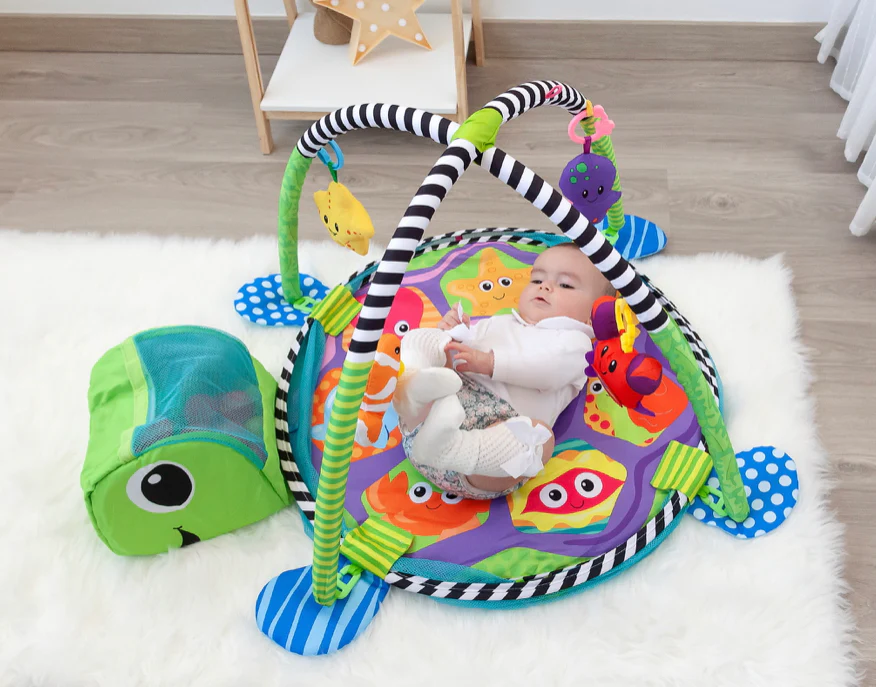 PALESTRINA TARTARUGA 2 in 1 - immagine 4