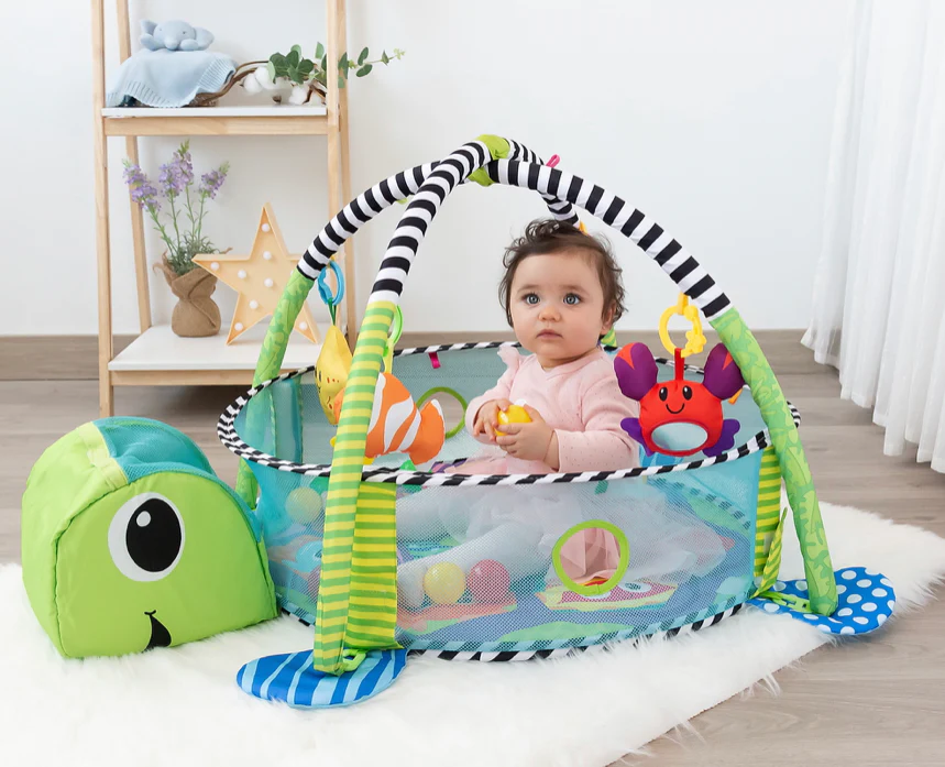 PALESTRINA TARTARUGA 2 in 1 - immagine 3