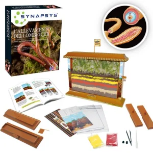 Allevamento di lombrichi