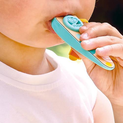 kazoo – Hape - immagine 3