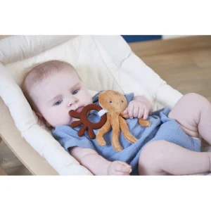 Per la lista di Gianmaria - Il mio dentaruolo Polpo GM